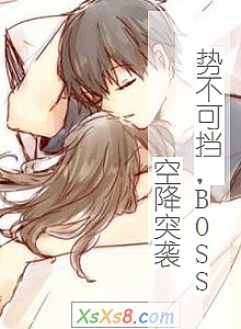 《势不可挡,BOSS空降突袭》小说封面