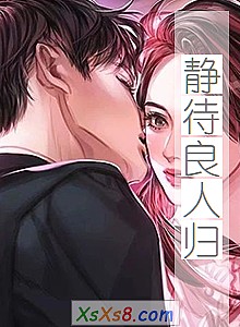 《静待良人归》小说封面