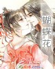 《蝴蝶花》小说封面