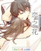 《恋之花》小说封面