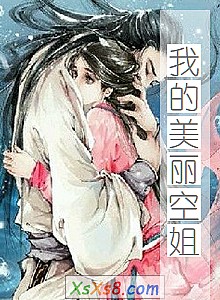 《我的美丽空姐》小说封面