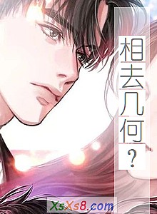 《相去几何?》小说封面