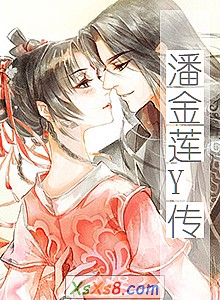 《潘金莲Y传》小说封面