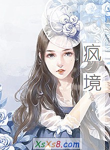 《疯境》小说封面