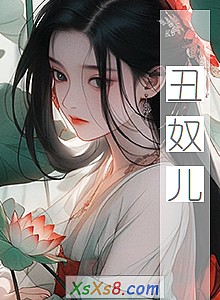 《丑奴儿》小说封面