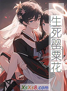 ��������ڻ���С˵����