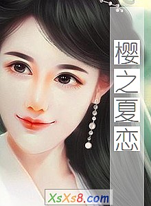 ӣ֮С˵