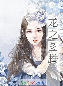 《龙之图腾》小说封面