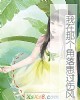 Ǹ仼˷硷С˵