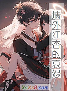 《墙外红杏的哀怨》小说封面