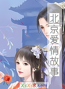 《北京爱情故事》小说封面