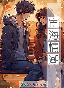 《宦海情潮》小说封面