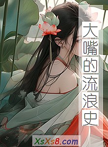 ʷС˵