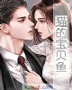 《猫的宝贝鱼》小说封面