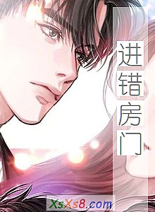 《进错房门》小说封面