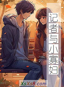 《记者与小寡妇》小说封面