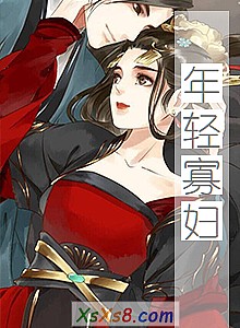 《年轻寡妇》小说封面