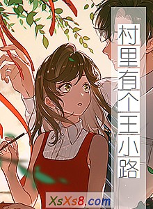 《村里有个王小路》小说封面