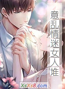 《意乱情迷女人堆》小说封面