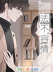 ���������顷С˵����