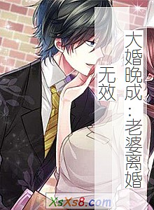 《大婚晚成:老婆离婚无效》小说封面