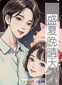 《盛夏晚晴天(电视剧原著小说)》小说封面