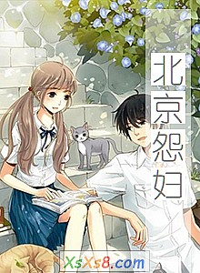 《北京怨妇》小说封面