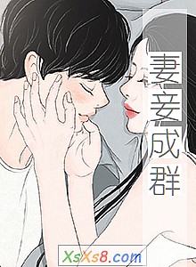 《妻妾成群》小说封面