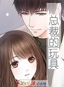 《总裁的玩具》小说封面