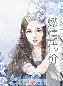 ��ȼ����ۡ�С˵����