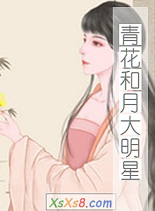 《青花和月大明星》小说封面