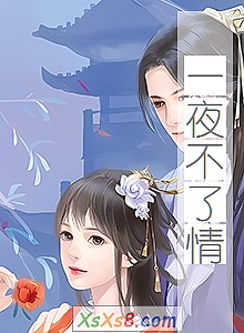 ��һҹ�����顷С˵����