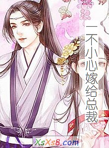 《一不小心嫁给总裁》小说封面