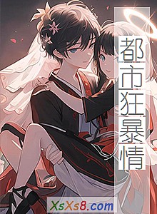 《都市狂暴情》小说封面