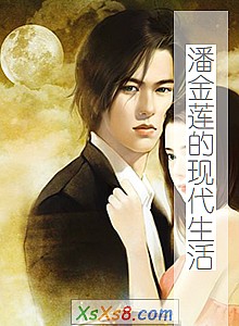 《潘金莲的现代生活》小说封面