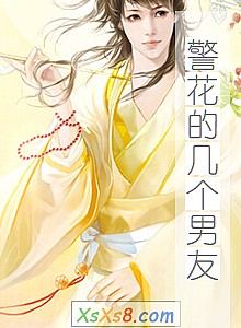 《警花的几个男友》小说封面