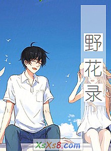 ��Ұ��¼��С˵����