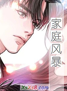 《家庭风暴》小说封面