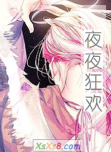 《夜夜狂欢》小说封面