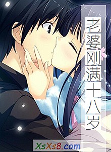 �����Ÿ���ʮ���꡷С˵����