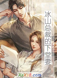 《冰山总裁的下堂妻》小说封面