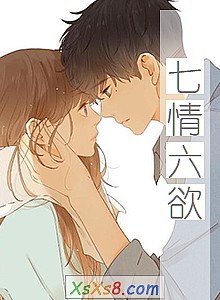 《七情六欲》小说封面