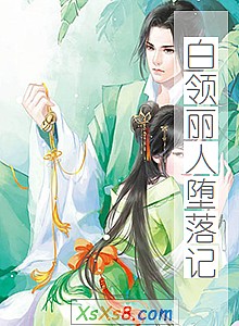 《白领丽人堕落记》小说封面