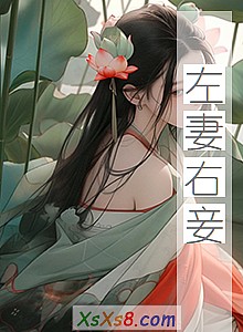 《左妻右妾》小说封面