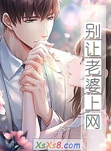 《别让老婆上网》小说封面