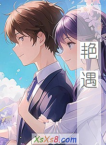 《艳遇》小说封面