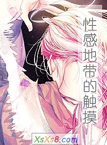 《性感地带的触摸》小说封面