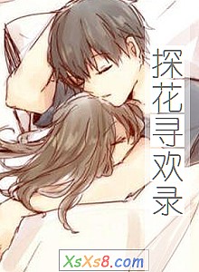 《探花寻欢录》小说封面