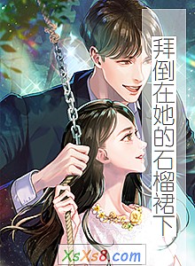 《拜倒在她的石榴裙下》小说封面