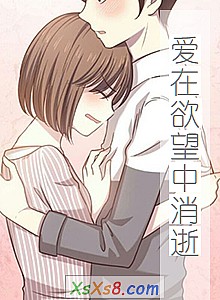 《爱在欲望中消逝》小说封面